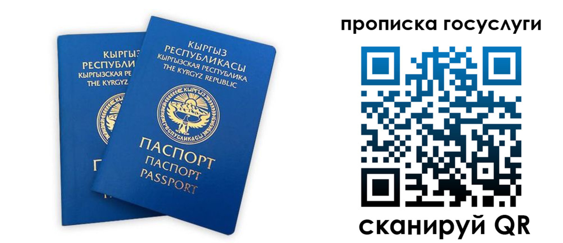 временная регистрация госуслуги в Котовске